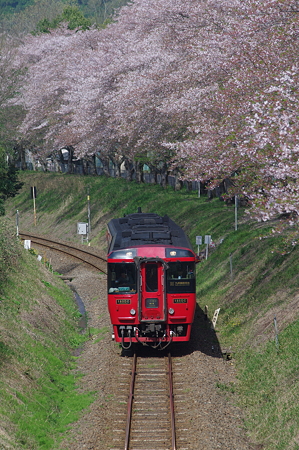 特急くまがわ1号