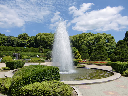 CIMG0607