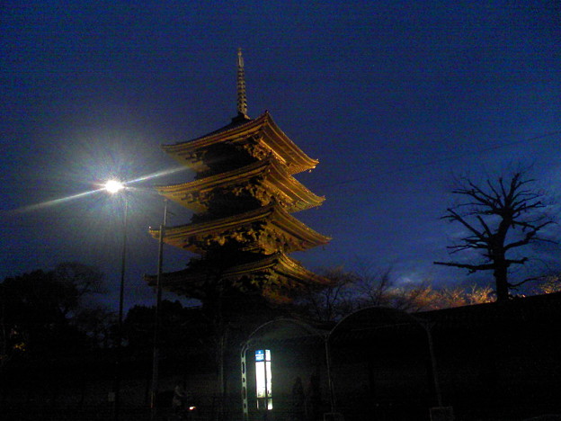 夜の東寺五重塔 写真共有サイト フォト蔵