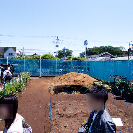 墓場