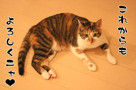 2010040205