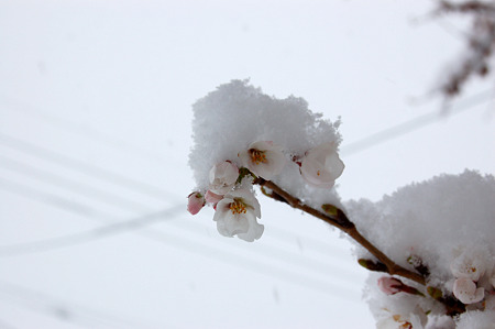 DSC_48760263DSC_4876