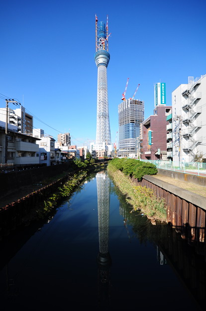 西十間橋から青空とスカイツリー 写真共有サイト フォト蔵