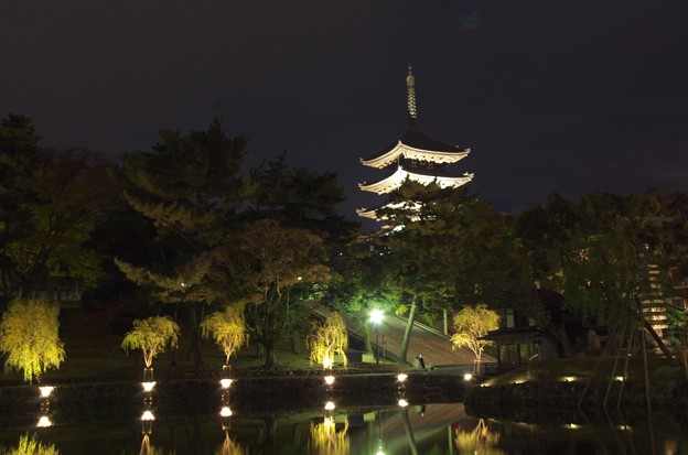 興福寺五重塔と猿沢池ライトアップ 写真共有サイト フォト蔵