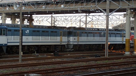 DSCN3010