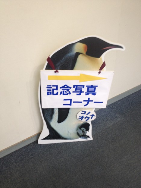 名古屋港水族館_316：ペンギン（人形）との記念写真撮影コーナー