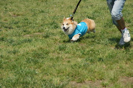 DSC05801