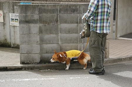 DSC07310