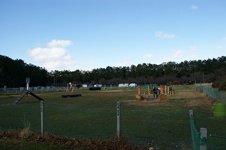 DSC05083