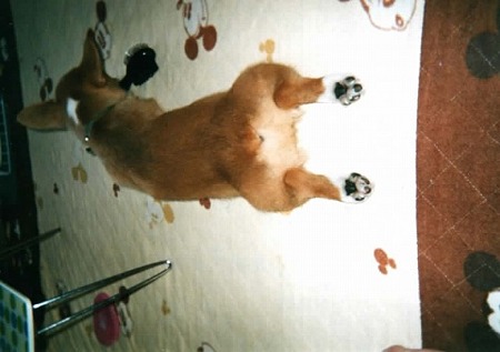 EPSON006