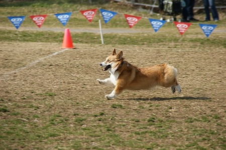 DSC08489