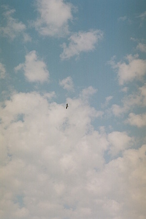 CONTAX159MM_Kodak_PORTRA160NC05092011-12