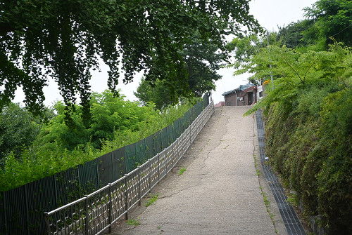 resize0021 写真: resize0021