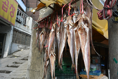 resize0131 写真: resize0131