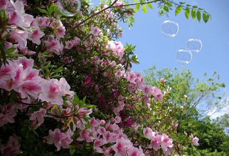 IMGP0167_0503