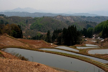 木沢の棚田