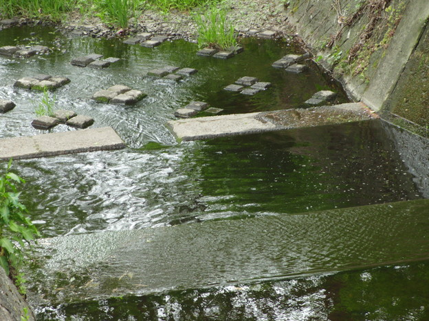 川の増水対策用の色々