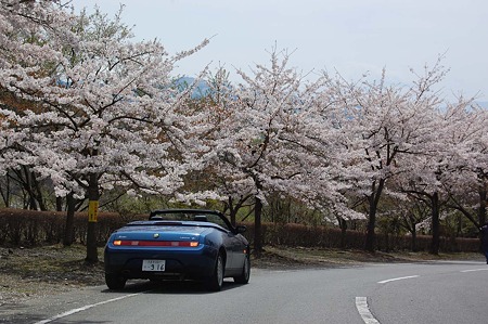 DSC_2462L40