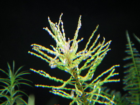 2011 02/14 001