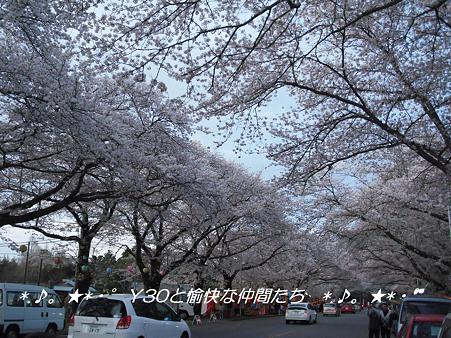 DSCF9002_pa