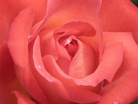 DSCF0374