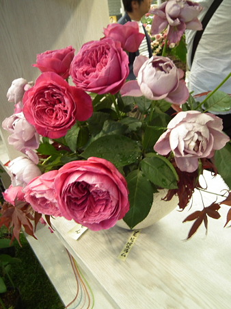 DSCF0906
