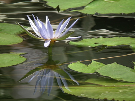 DSCF0370