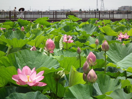 DSCF0189