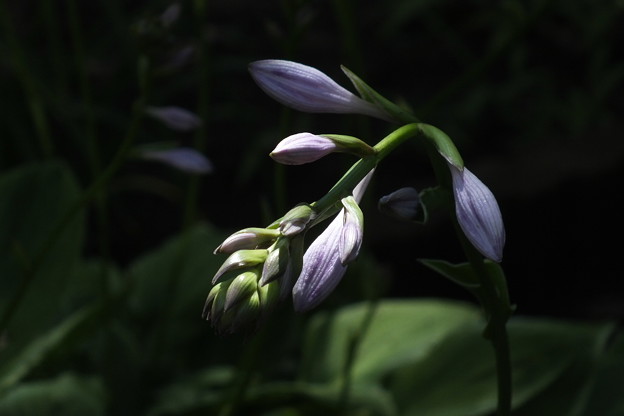 DSCF0437