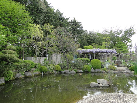 市川市万葉植物園