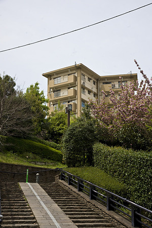 akabanedai090418001