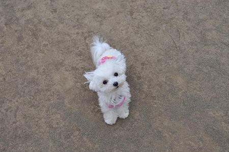 うめちゃんたのしいね~♪