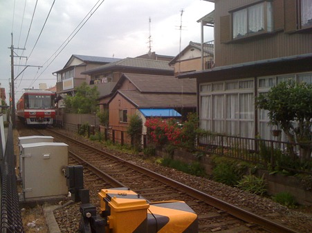 薔薇と電車