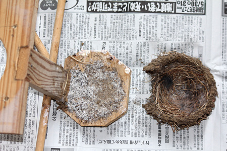 巣台にはゴミ