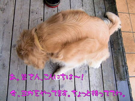 うつむくタロウ