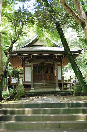2010年07月04日_DSC_0627