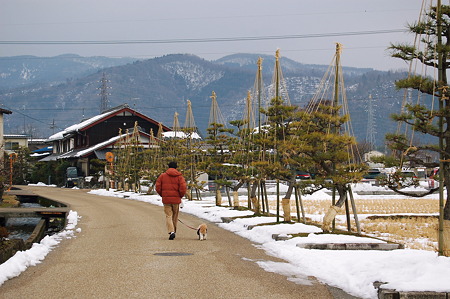 2011年01月09日_DSC_0005