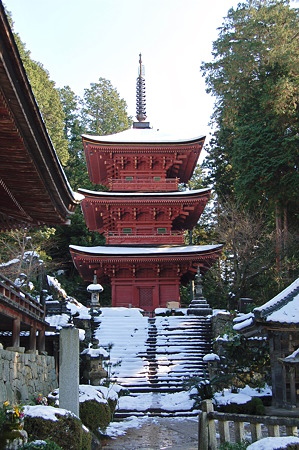 2011年01月09日_DSC_0095