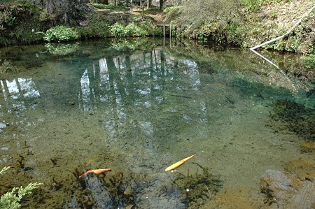 oshino08