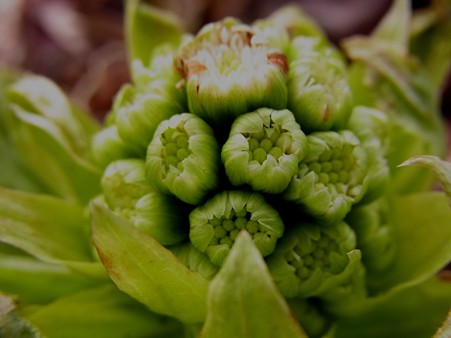 2011.3.6