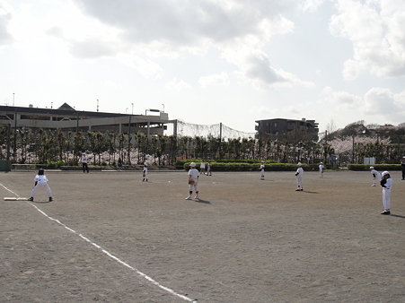 DSC00509