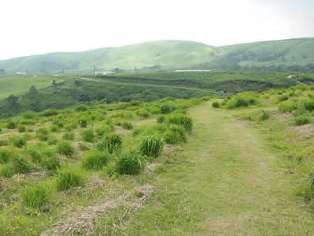 P6290393
