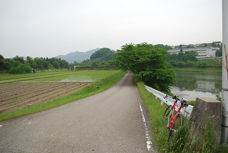 DSC_0847 DSC_0847