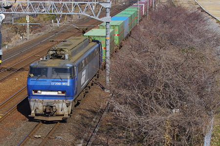 IMGP7887