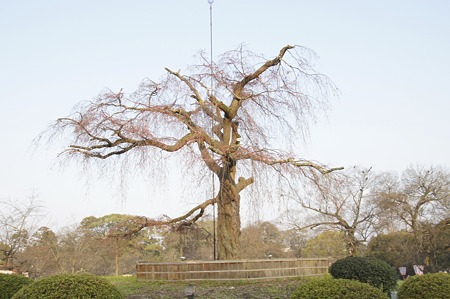 DSC01472