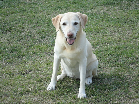 DSC05550