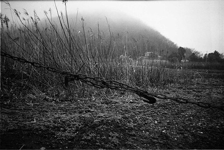 img055(RICOH R1)