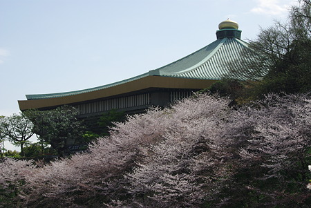 IMGP5559