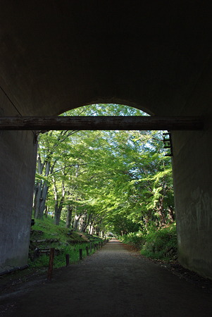 IMGP5157