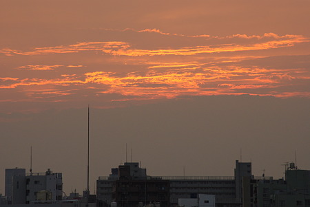 IMGP6246